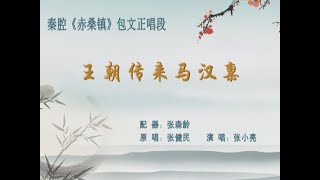 【卡拉OK伴奏】秦腔《赤桑镇》选段：王朝传来马汉禀/ 张建民原唱 张小亮表演