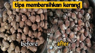 cara mudah membersihkan kerang dara