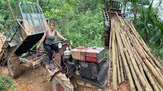 Building farm single life. Cut wood to make cabin floor. Wooden cabin floor \ Gia Bảo