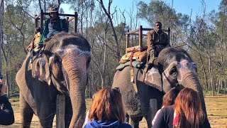 Sauraha, Chitwan, Elephant Ride