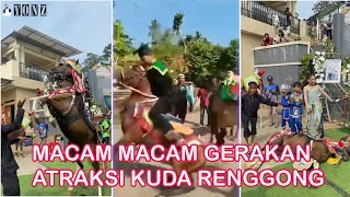 Macam macam gerakan atraksi kuda renggong