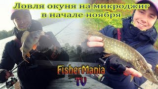 Ловля окуня на микроджиг в начале ноября