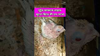 পুটুর আজকে রাস্তায় জুতো ছিঁড়ে কী‌ অবস্থা ‍‍‌‍‌হল দেখো😂#viralvideo#funny#shortsfeed#comedy#cokatiel