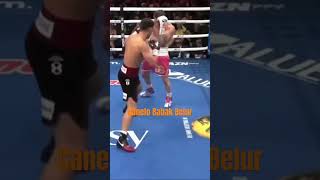 JUARA VS JUARA, CANELO BABAK BELUR. BIVOL EFEKTIF. #shortsvideo #tinju