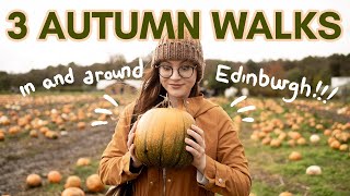 3 amazing AUTUMN TRIPS in (or just outside of) EDINBURGH! Leaf peeping walks and pumpkin picking!