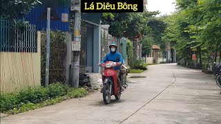 Lá Diêu Bông (Remix) - Thái Sơn