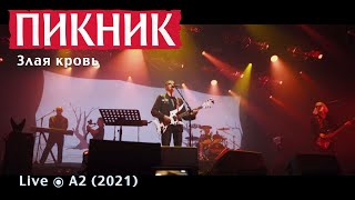 Пикник – Злая кровь (Live @ A2)