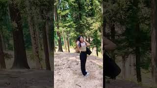 gulmarg Kashmir|#shortvideo #gulmarg #indianvlogger