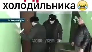 новсти Андрей в холодильнике :) ШОк