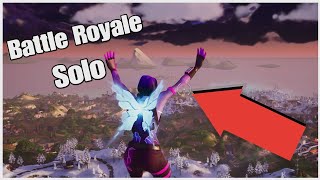 Fortnite Battle Royale Solo!