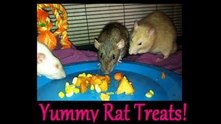 Friday Facts! Great treats for your rats!