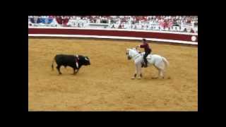 Vidéo  rejon des fêtes ( ferias ) de Dax  15 Août 2012 : 2° toro dePablo Hermoso de Mendoza.mp4