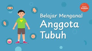 Belajar Mengenal Anggota Tubuh | Bagian Tubuh | Edukasi Anak