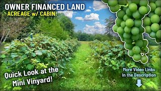 Quick Look at the Grape Vines - 21 Acres of Owner Financed Land with Cabin - JJ03B