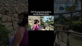 POV I’m your tour guide to see the fishies at the aquarium under Manta at Sea World Orlando! 🐟🐡🐠