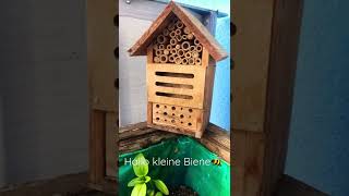 Süße Biene am Insektenhotel 🐝