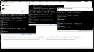 dynamic routing with ospf