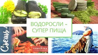 246.Съедобные ВОДОРОСЛИ - это супер пища. Доклад с фестиваля дикоросов.