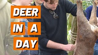 Deer in a Day | Dorset | Land & Wave