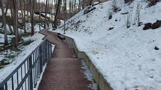 Pasivaikščiojimas Beržyno parku žiemą | Winter Walking in Beržynas Park