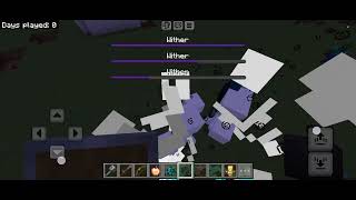 warden vs wither