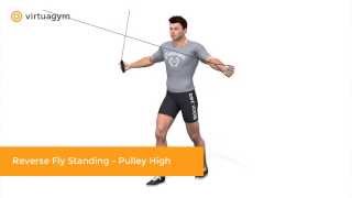 Reverse Fly Standing - Pulley High