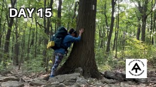 TREE Hugging | Day 15 | Appalachian Trail 2023