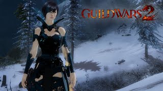 Guild Wars 2 | MMORPG | 100% Map Completion