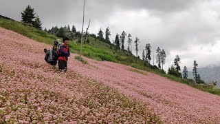 PIRI : Overnight Hike To Rawal Meadows