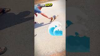 Ant Eater GUZZLES Down H2O On A HOT Summer Day...💦❤️ #animalshorts #animalrescue #heartwarming