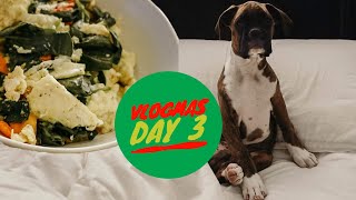 Make breakfast with me | Boxer Puppy cuteness | Vlogmas day3 | Teal Garcia