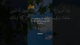 سورة البينة الآيات من 1 إلى 5 بصوت القارئ سعد الغامدي #حالات  #quran #قرآن  #shorts