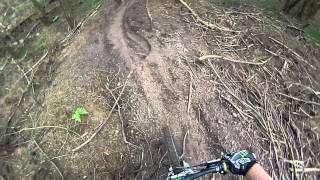 cannock chase monkey trail tree root descent tricky