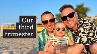 WE ARE IN OUR 3RD TRIMESTER  | Vlog at home | Stuart & Francis