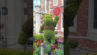 Winnie the Pooh at Epcot Flower & Garden Festival #disneycreator #epcotflowerandgardenfestival