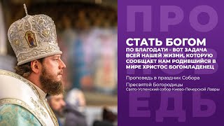 СТАТЬ БОГОМ ПО БЛАГОДАТИ / Проповедь в праздник Собора Пресвятой Богородицы