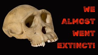 Humans Almost Went Extinct at One Point, With Only About 1,280 Breeding Individuals Alive