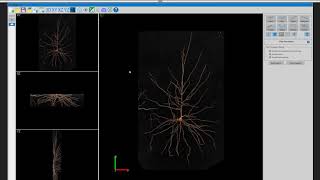 Webinar: Generating movies and presentation images with MBF Bioscience products