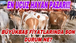 BU PAZAR HEM CANLI HEM HEYECANLI | BU PAZARA GELEN TEKRAR GELİYOR!!