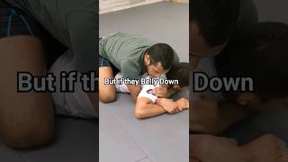 Force Them to Belly Down & Kill Them #nogi #bjj #wrestling