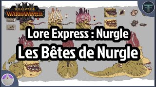 Les Bêtes de Nurgle - Lore Express avec Furgoth ! - Total War Warhammer 3 [FR]