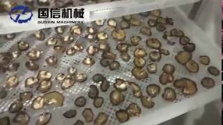 Hunan Province working site-shiitake mushroom drying machine