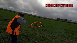 Chasse Du Petit Gibier au calibre 28 !! (lièvres, faisans, perdrix)