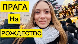 VLOG:Прага НА РОЖДЕСТВО ♥️ЖИЗНЬ БЕЖЕНЦЕВ В ЧЕХИИ ♥️🌎