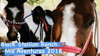 Costa Rica Horseback Riding and Ziplines at Black Stallion Ranch Tamarindo Guanacaste Mis Aventuras