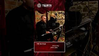 Më ke mua - Netët Festive Tradita-GT Muzikë Live