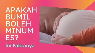 Bolehkah Ibu Hamil Minum Es - Seputar Susu