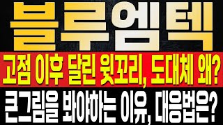 [블루엠텍 주가전망] 신고가 달성 이후 급락이 나오며 이상하게 흘러가는 주가의 흐름.. 걱정할 필요는 없다고? 단기 흐름은 안좋지만 다시 한번 고점을 갱신할 수 밖에 없는 이유?