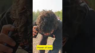 Power of love 💗#Shorts#funny#lovepower#viral#Shortsfeed#Comedy#youtubeshort#funnyshort#trending