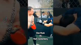 elon vs zuck